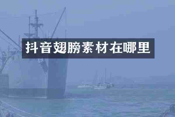 抖音翅膀素材在哪里