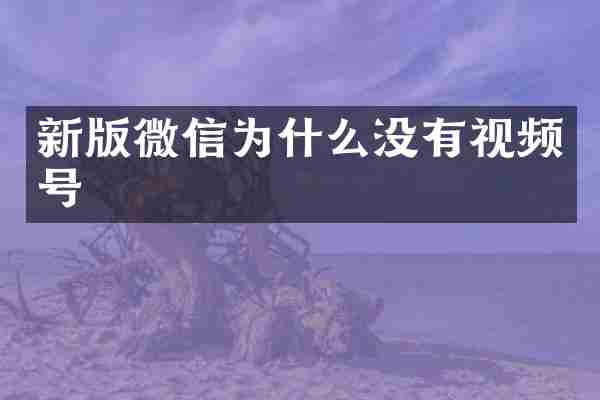 新版微信为什么没有视频号