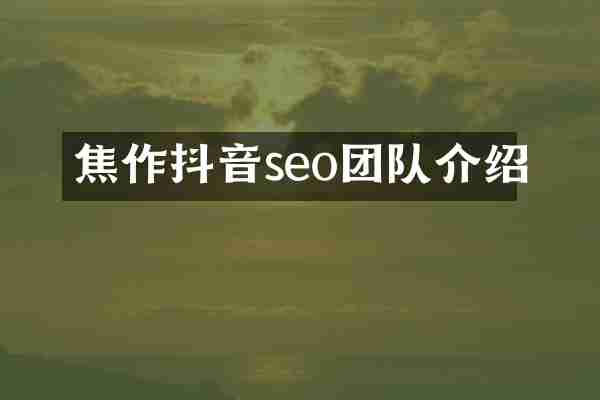 焦作抖音seo团队介绍