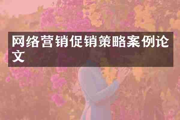 网络营销促销策略案例论文