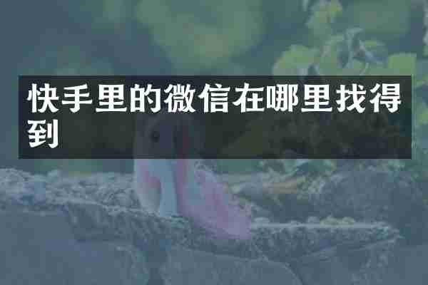 快手里的微信在哪里找得到