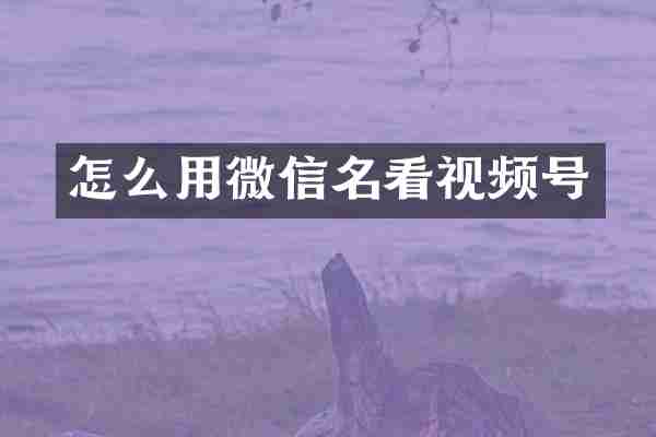 怎么用微信名看视频号