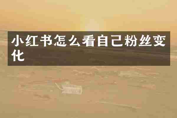 小红书怎么看自己粉丝变化