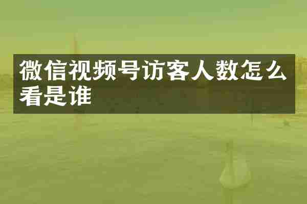 微信视频号访客人数怎么看是谁
