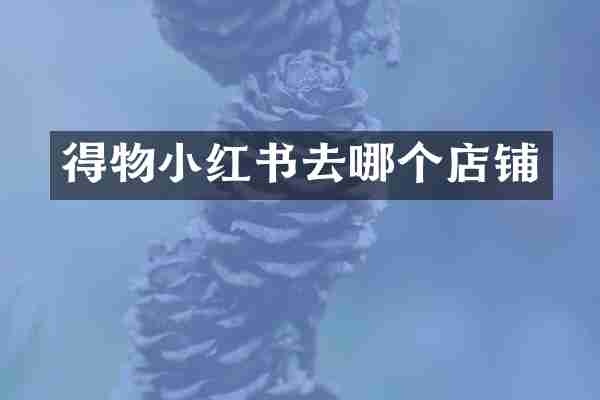 得物小红书去哪个店铺