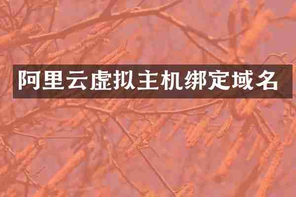 阿里云虚拟主机绑定域名