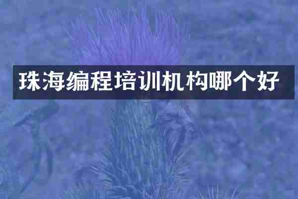 珠海编程培训机构哪个好