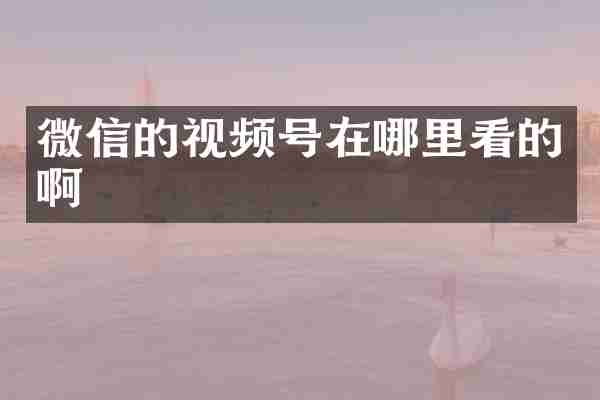 微信的视频号在哪里看的啊