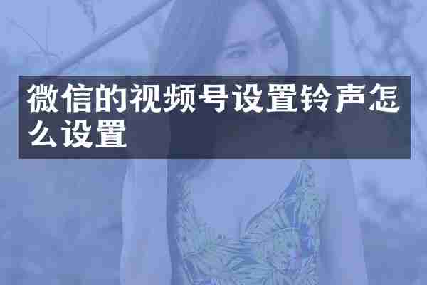 微信的视频号设置铃声怎么设置