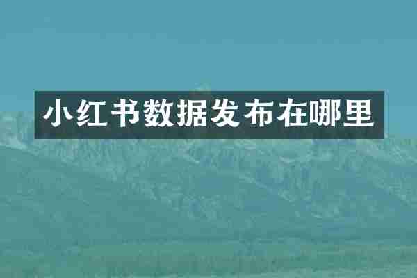 小红书数据发布在哪里