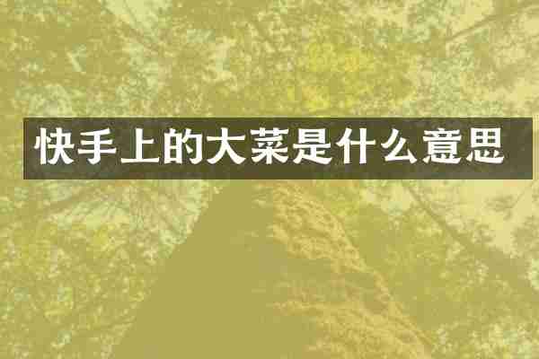 快手上的大菜是什么意思