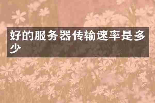 好的服务器传输速率是多少