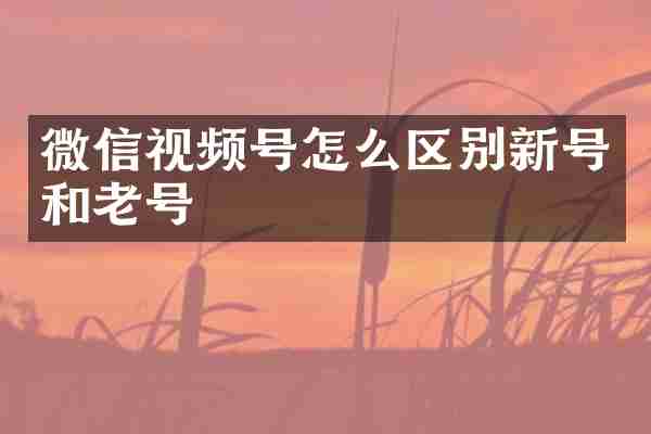 微信视频号怎么区别新号和老号