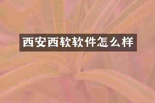 西安西软软件怎么样