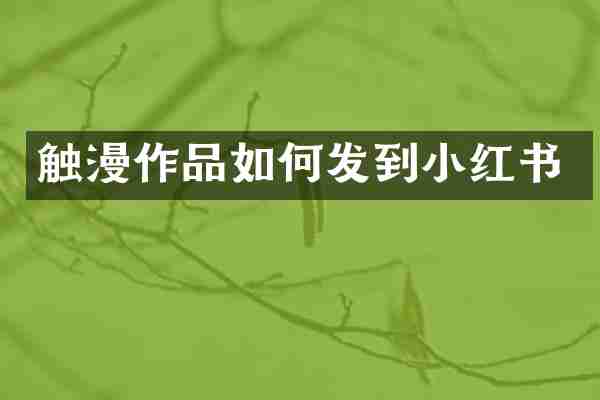 触漫作品如何发到小红书