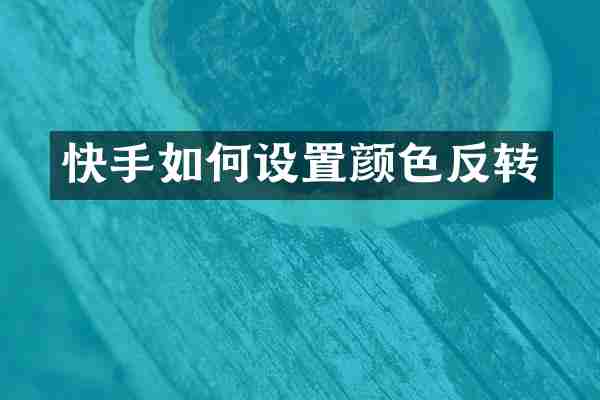 快手如何设置颜色反转