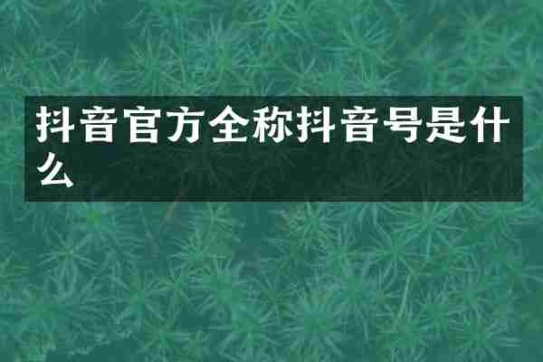 抖音官方全称抖音号是什么