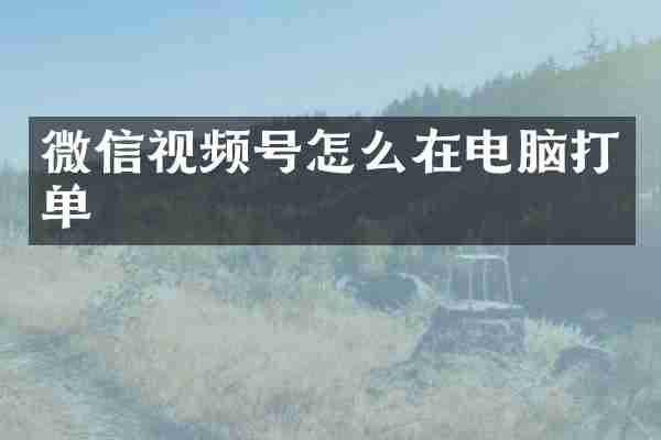 微信视频号怎么在电脑打单