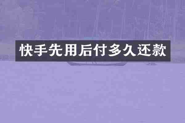 快手先用后付多久还款
