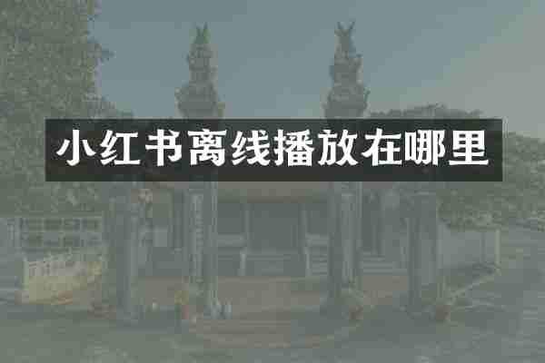 小红书离线播放在哪里
