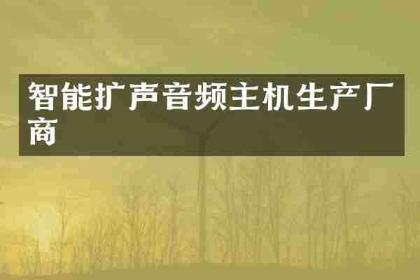 智能扩声音频主机生产厂商
