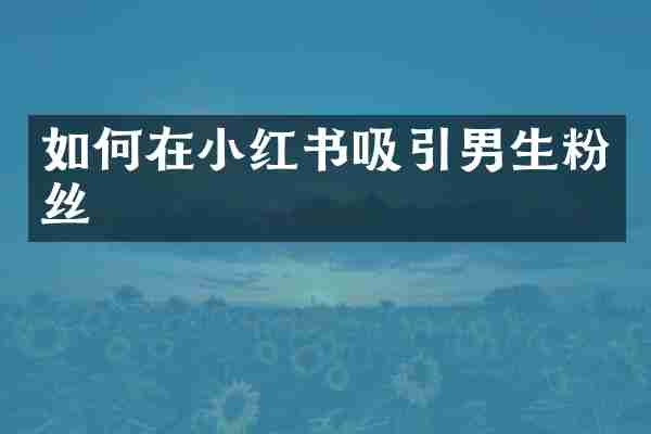 如何在小红书吸引男生粉丝