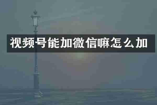视频号能加微信嘛怎么加