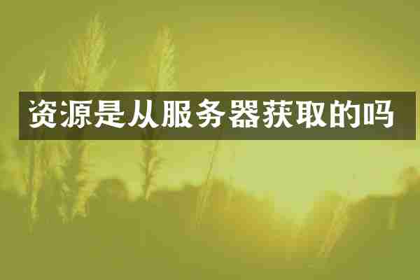 资源是从服务器获取的吗