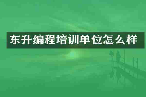 东升编程培训单位怎么样