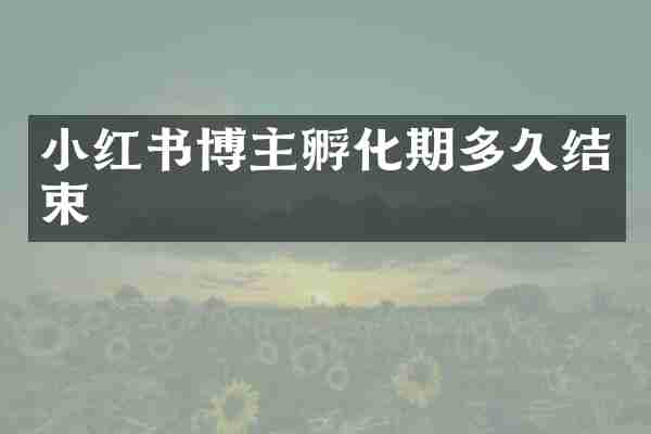 小红书博主孵化期多久结束