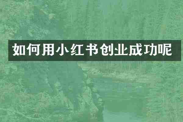如何用小红书创业成功呢