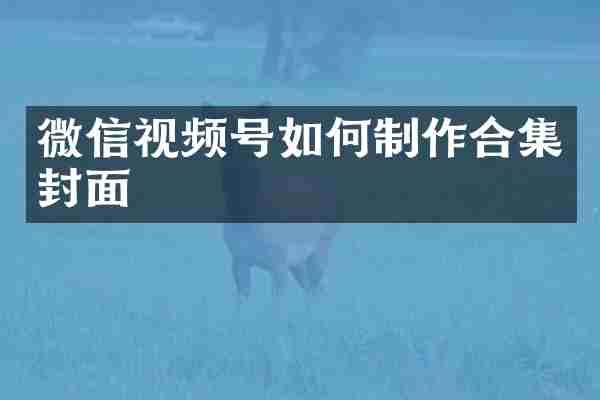 微信视频号如何制作合集封面
