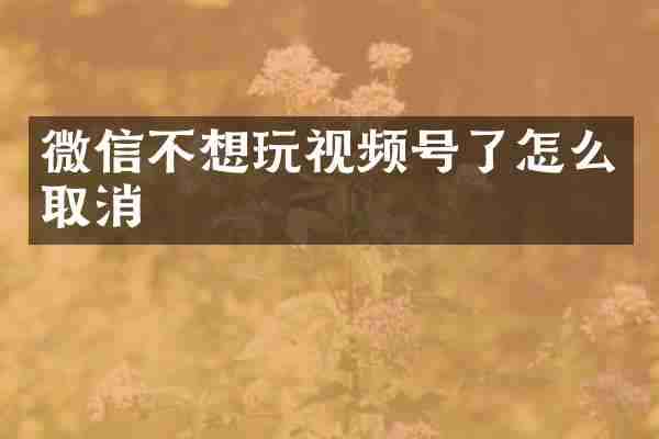 微信不想玩视频号了怎么取消