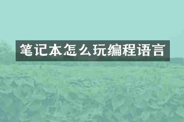 笔记本怎么玩编程语言