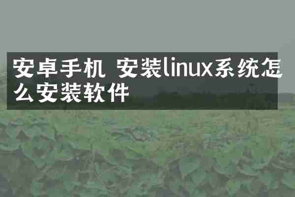 安卓手机 安装linux系统怎么安装软件