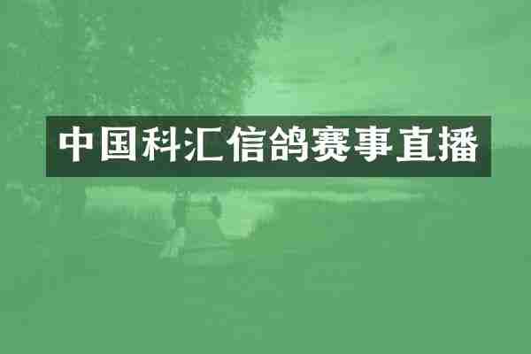 中国科汇信鸽赛事直播