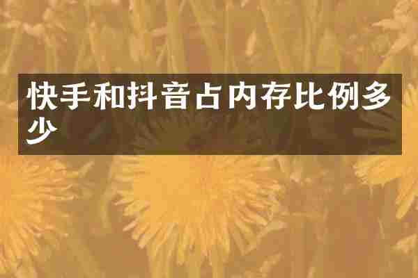快手和抖音占内存比例多少
