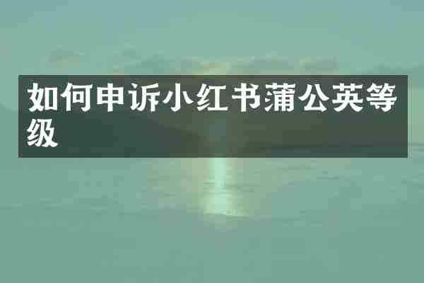 如何申诉小红书蒲公英等级