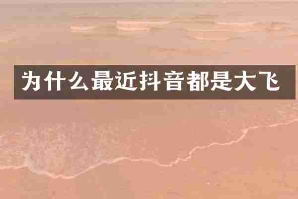 为什么最近抖音都是大飞