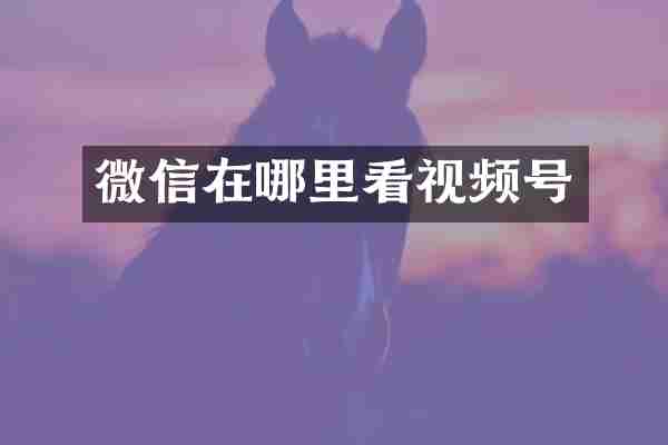 微信在哪里看视频号