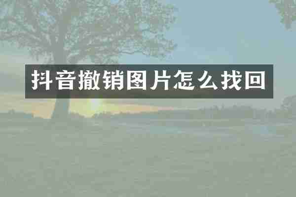 抖音撤销图片怎么找回