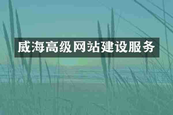 威海高级网站建设服务