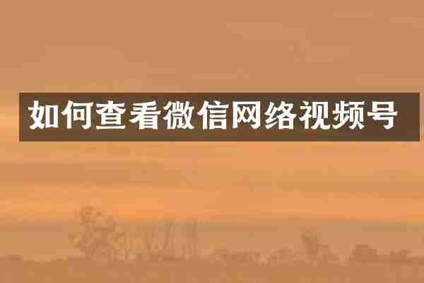 如何查看微信网络视频号