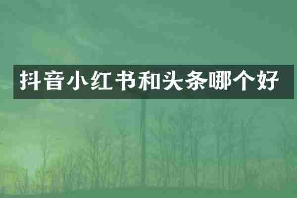 抖音小红书和头条哪个好