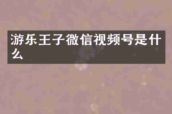 游乐王子微信视频号是什么