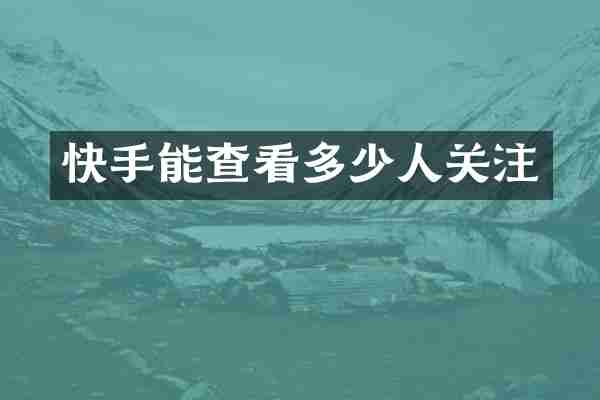 快手能查看多少人关注