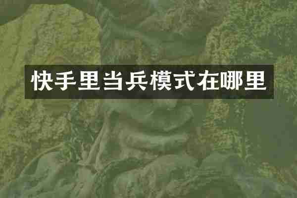 快手里当兵模式在哪里