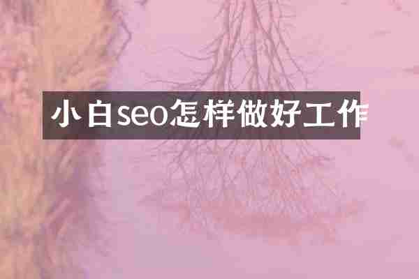 小白seo怎样做好工作