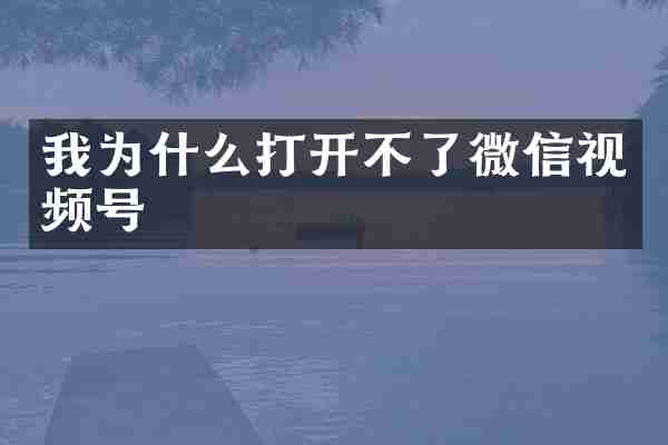 我为什么打开不了微信视频号