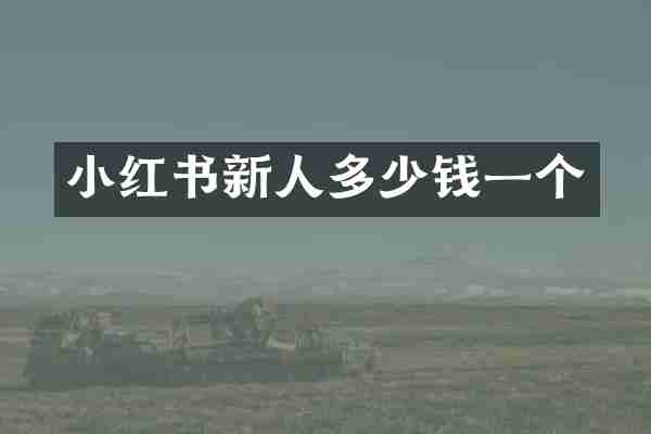 小红书新人多少钱一个